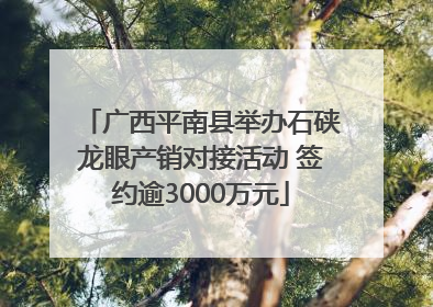广西平南县举办石硖龙眼产销对接活动 签约逾3000万元