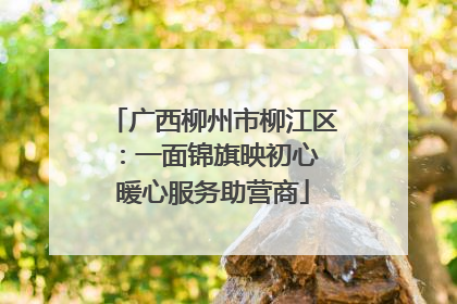 广西柳州市柳江区：一面锦旗映初心 暖心服务助营商