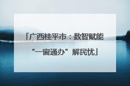 广西桂平市：数智赋能“一窗通办”解民忧