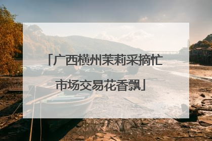 广西横州茉莉采摘忙 市场交易花香飘