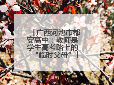 广西河池市都安高中：教师是学生高考路上的“临时父母”