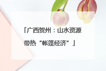 广西贺州：山水资源带热“帐篷经济”