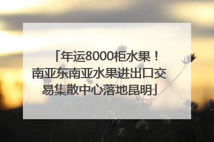年运8000柜水果！南亚东南亚水果进出口交易集散中心落地昆明
