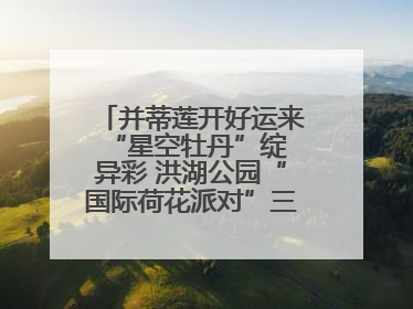 并蒂莲开好运来 “星空牡丹”绽异彩 洪湖公园“国际荷花派对”三天迎客六万