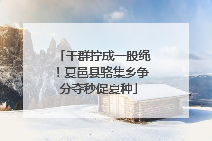 干群拧成一股绳！夏邑县骆集乡争分夺秒促夏种