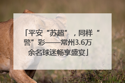 平安“苏超”，同样“警”彩——常州3.6万余名球迷畅享盛宴