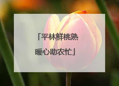 平林鲜桃熟 暖心助农忙