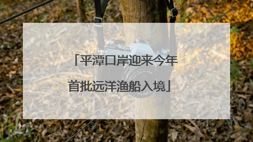 平潭口岸迎来今年首批远洋渔船入境