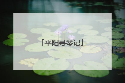 平阳寻琴记