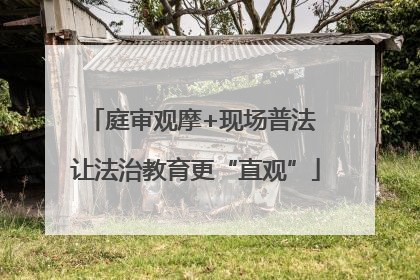 庭审观摩+现场普法 让法治教育更“直观”