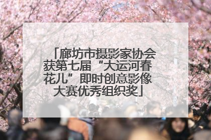 廊坊市摄影家协会获第七届“大运河春花儿”即时创意影像大赛优秀组织奖
