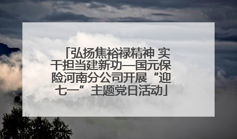 弘扬焦裕禄精神 实干担当建新功—国元保险河南分公司开展“迎七一”主题党日活动