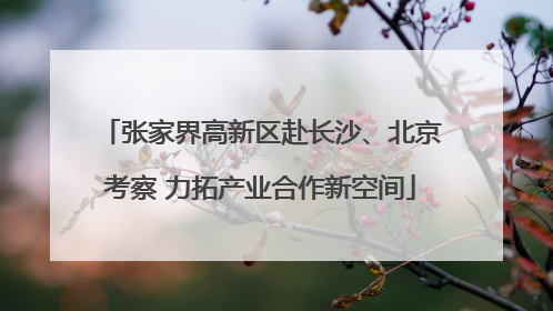 张家界高新区赴长沙、北京考察 力拓产业合作新空间