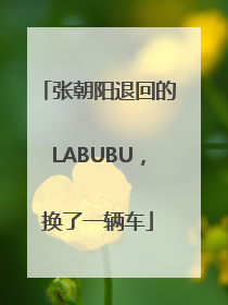 张朝阳退回的LABUBU，换了一辆车