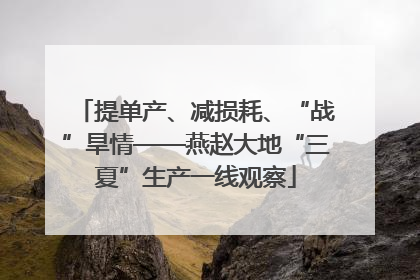 提单产、减损耗、“战”旱情——燕赵大地“三夏”生产一线观察