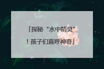 探秘“水中精灵”！孩子们直呼神奇