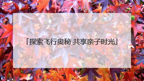 探索飞行奥秘 共享亲子时光