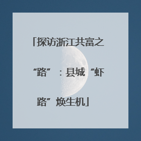 探访浙江共富之“路”：县城“虾路”焕生机
