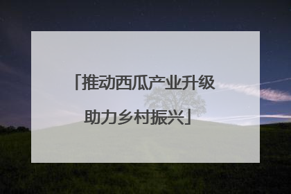 推动西瓜产业升级 助力乡村振兴