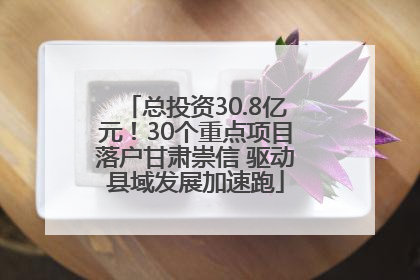 总投资30.8亿元！30个重点项目落户甘肃崇信 驱动县域发展加速跑