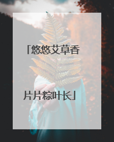 悠悠艾草香 片片粽叶长