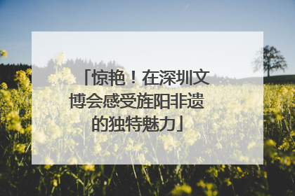 惊艳！在深圳文博会感受旌阳非遗的独特魅力