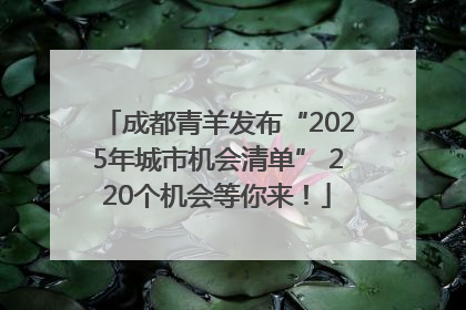 成都青羊发布“2025年城市机会清单” 220个机会等你来！