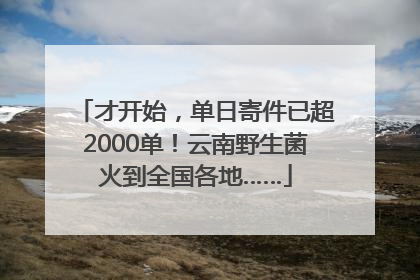 才开始，单日寄件已超2000单！云南野生菌火到全国各地……