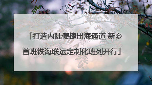 打造内陆便捷出海通道 新乡首班铁海联运定制化班列开行