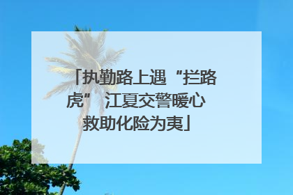 执勤路上遇“拦路虎” 江夏交警暖心救助化险为夷
