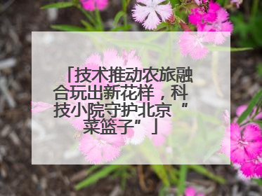 技术推动农旅融合玩出新花样，科技小院守护北京“菜篮子”