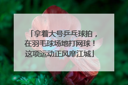 拿着大号乒乓球拍，在羽毛球场地打网球！这项运动正风靡江城