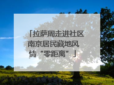 拉萨周走进社区 南京居民藏地风情“零距离”