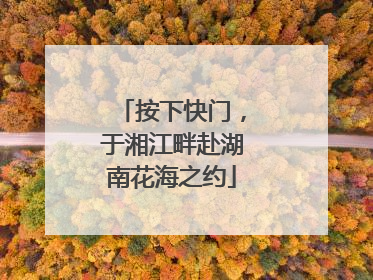 按下快门，于湘江畔赴湖南花海之约