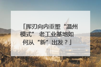 挥刃向内重塑“温州模式” 老工业基地如何从“新”出发？