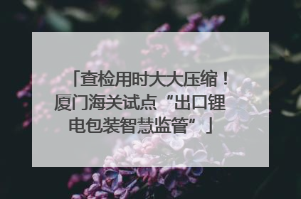 查检用时大大压缩！厦门海关试点“出口锂电包装智慧监管”