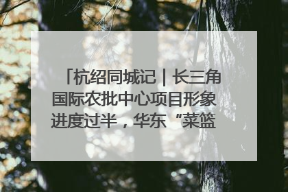杭绍同城记｜长三角国际农批中心项目形象进度过半，华东“菜篮子”建设加码提速！