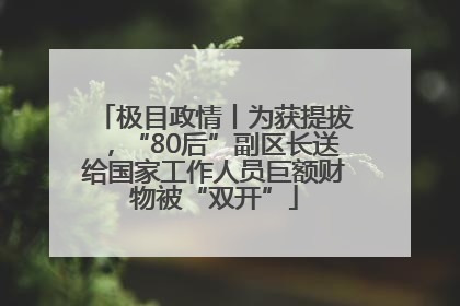 极目政情丨为获提拔，“80后”副区长送给国家工作人员巨额财物被“双开”