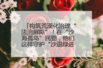 构筑荒漠化治理“法治屏障”！在“沙海孤岛”民勤，他们这样守护“沙退绿进”的生态奇迹