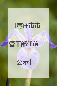 枣庄市市管干部任前公示