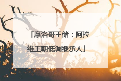 摩洛哥王储：阿拉维王朝低调继承人