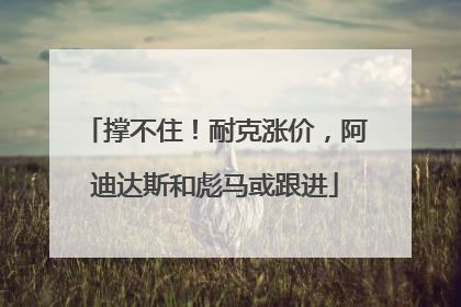 撑不住！耐克涨价，阿迪达斯和彪马或跟进