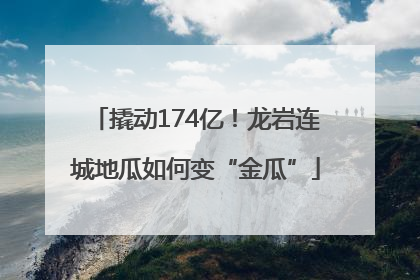 撬动174亿！龙岩连城地瓜如何变“金瓜”