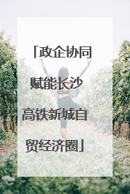 政企协同 赋能长沙高铁新城自贸经济圈