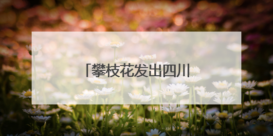 攀枝花发出四川首张“户籍人口直系亲属关系谱”