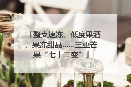 整支速冻、低度果酒、果冻甜品……三亚芒果“七十二变”