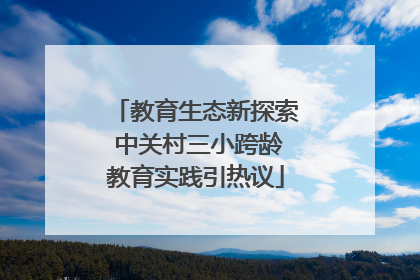 教育生态新探索 中关村三小跨龄教育实践引热议