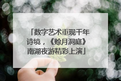数字艺术重现千年诗境，《赊月洞庭》南湖夜游精彩上演