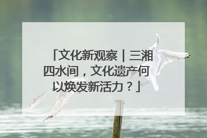 文化新观察｜三湘四水间，文化遗产何以焕发新活力？