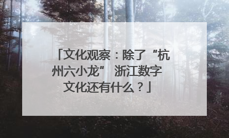 文化观察：除了“杭州六小龙” 浙江数字文化还有什么？